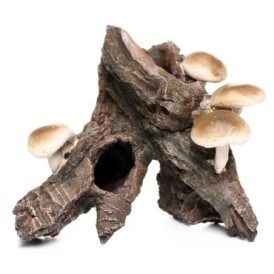 mushroom-log-aquarium-decoration